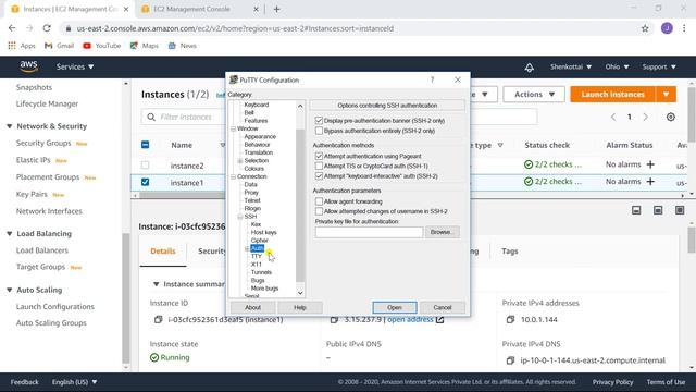 Creating and Configuring Network Load Balancer and Application Load Balancer with customized VPC смотреть онлайн