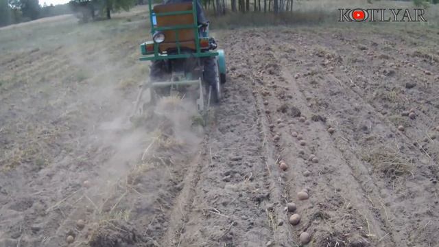 Копаємо картоплю мототрактором. смотреть онлайн