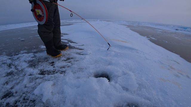 ОЧЕРЕДНАЯ РЫБАЛКА НА ОМУЛЯ!!!ОЧЕНЬ МНОГО ОМУЛЯ НА ЭХОЛОТЕ,НО.... смотреть онлайн