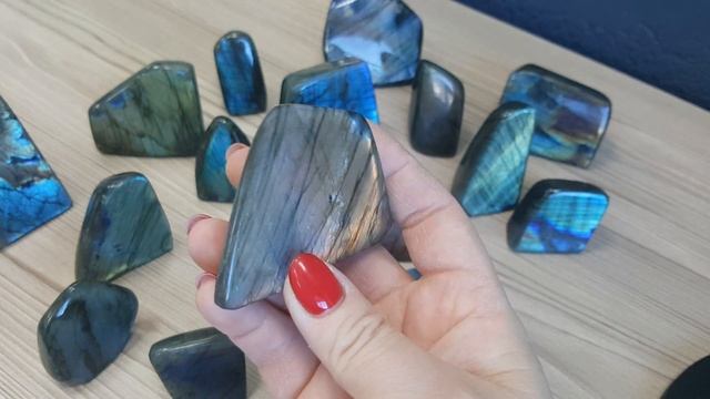 26/03/2021 г. Радужные лабрадоры смотреть онлайн