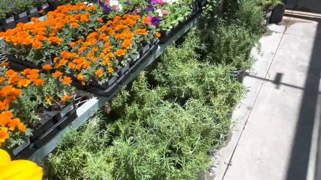 Lowe’s And Home Depot Flower Run.