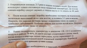 Выращивание черники дома  Посмотрите перед покупкой! Читаю инструкцию и показываю внешний вид