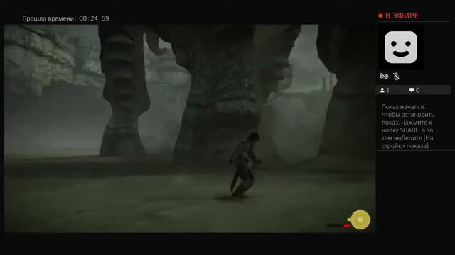 Прямой показ PS4 от Диань для Стась смотреть онлайн