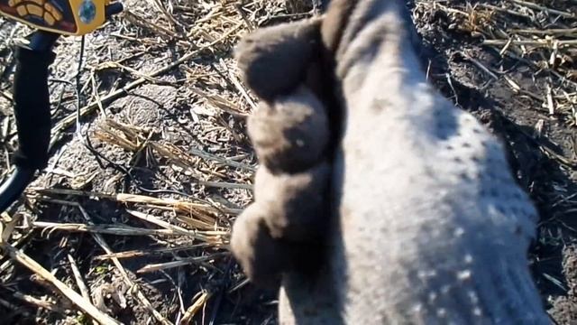 Поиск МОНЕТ металлоискателем Garrett ACE 250 / ВИДЕО КОП смотреть онлайн