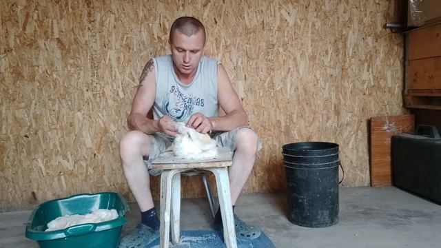 Второй этап выделки шкур - мездрение! смотреть онлайн