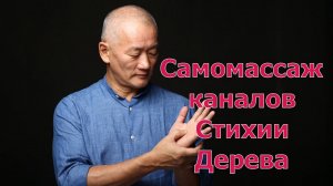 Самомассаж каналов Стихии Дерева. | Академия Киайдо | Гранд Мастер Сонг Парк