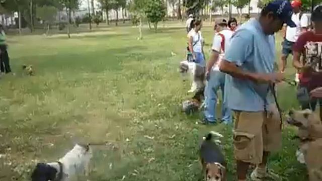 jugando en la priemra reunion del club knino Gonzalez Gallo.mp4 смотреть онлайн