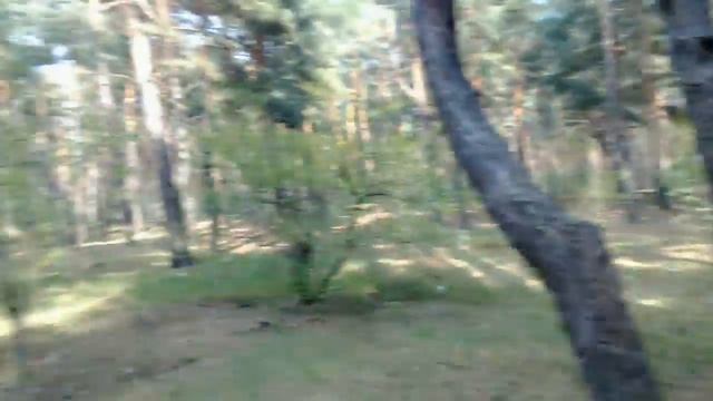 Судьба дерева жить и даровать смотреть онлайн