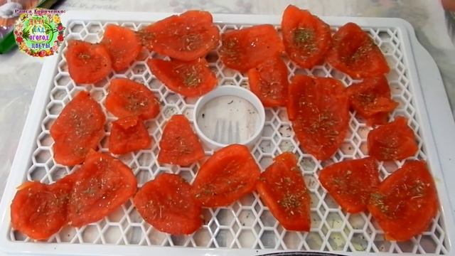 Аксессуары и Мода