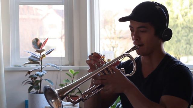 Tom Harrell "Darn That Dream" Solo Transcription смотреть онлайн