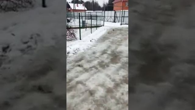 Как избежать деформации отмостки вокруг дома смотреть онлайн
