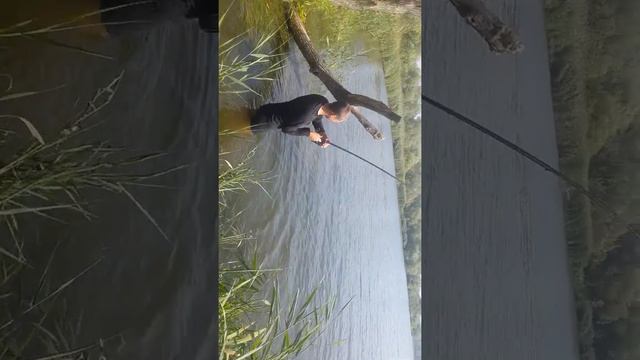 Амур Білий, м, Бурштин 2019, спасибі далба::,::бу якого я просив ,,,,,,,, смотреть онлайн