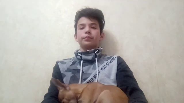Разговорное видео и что едят прыткие ящерицы смотреть онлайн
