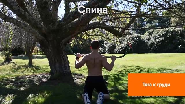 Упражнения для мышц спины, часть 5 смотреть онлайн
