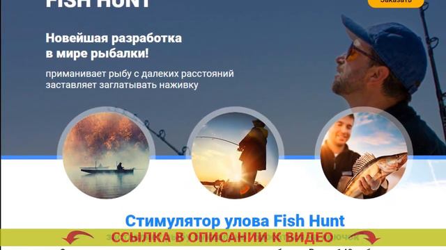 Карась прикормка летом смотреть онлайн