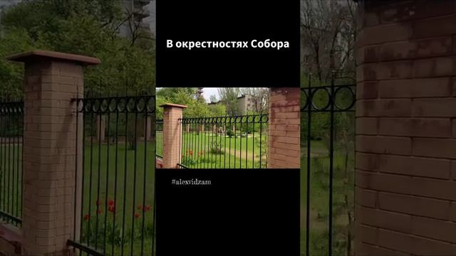 В окрестностях Собора. #alexvidzam #vza смотреть онлайн