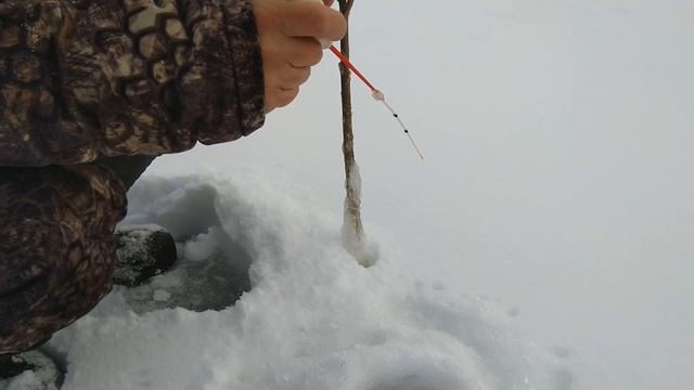 Зимняя рыбалка. Уха на костре. Окунь, сорога. Река Чепца. смотреть онлайн