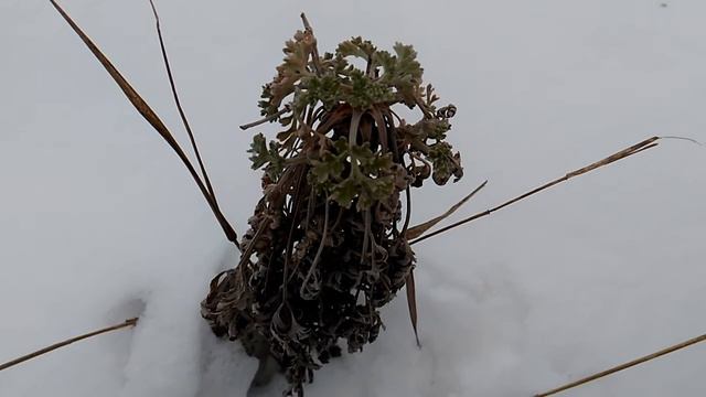 Осознанно - получай желаемое! смотреть онлайн