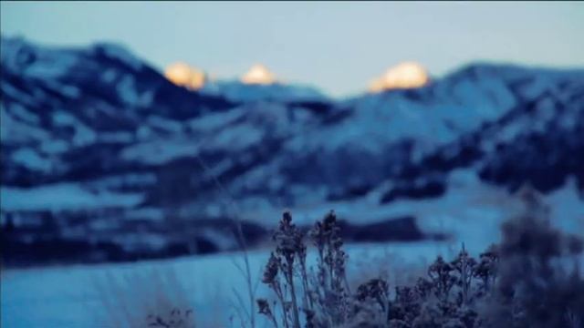 Amory Lovins Video Zayed Future Energy Prize смотреть онлайн