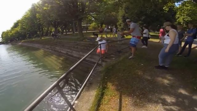 Огромный сом! Редко такое увидишь!!! смотреть онлайн