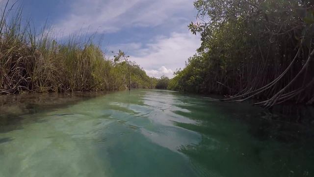 sian kaan and the floating river tour смотреть онлайн