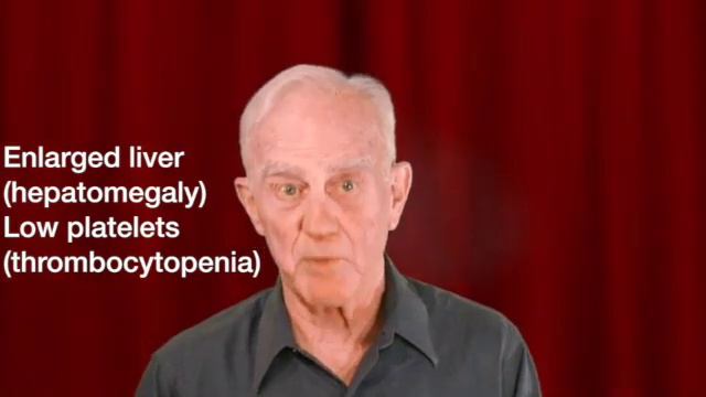 Stealth Adapted Viruses - First Video Summarizing Research of Dr. W. John Martin смотреть онлайн