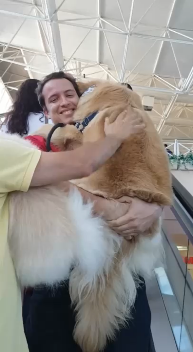 Пёс боится эскалаторов смотреть онлайн