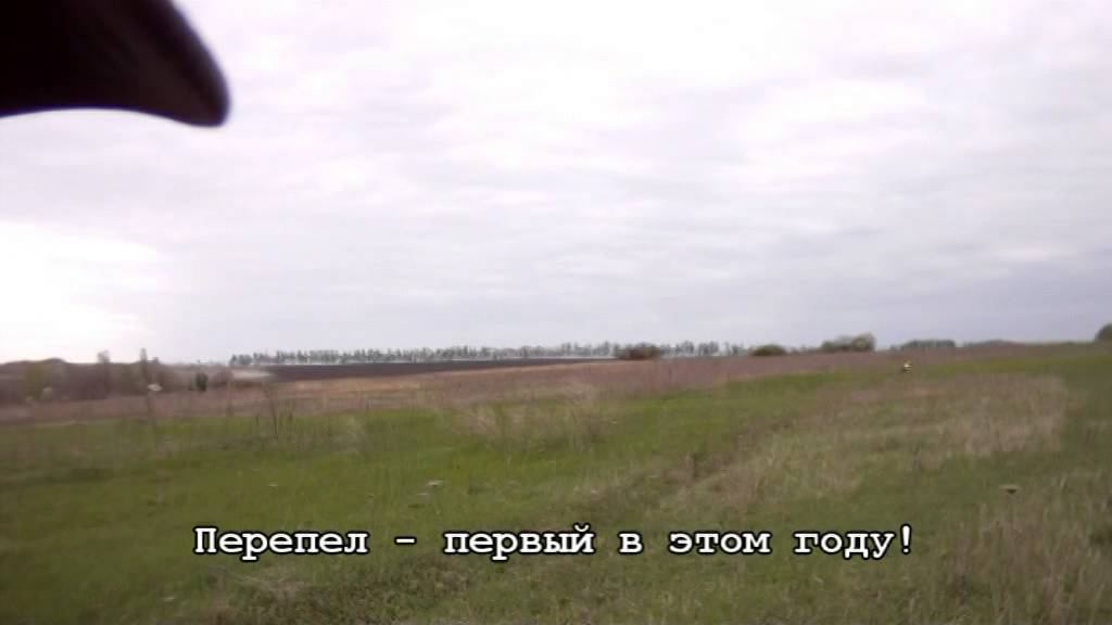 28 апреля 2014г смотреть онлайн