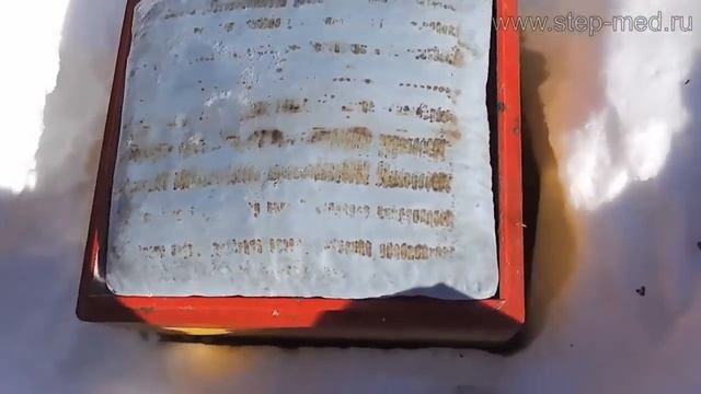 Раздача сахарной помадки зимующим пчелам новая редакция смотреть онлайн