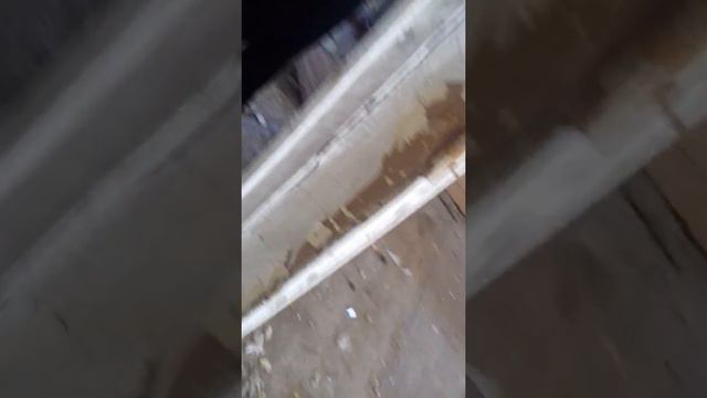Влизаме в изоставено училище част 1 смотреть онлайн