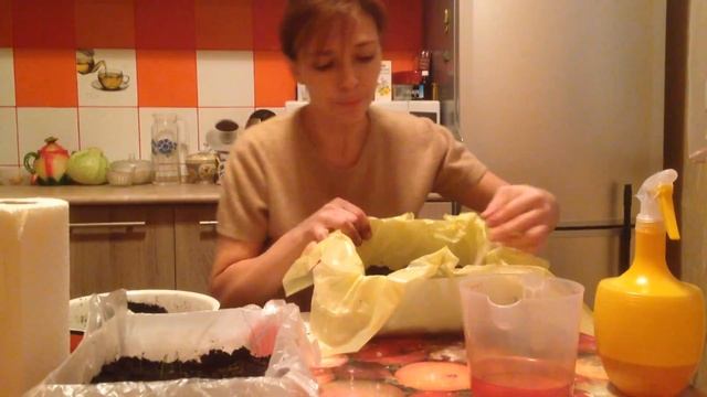 Сеем лук-порей на рассаду. Посадка порея. смотреть онлайн