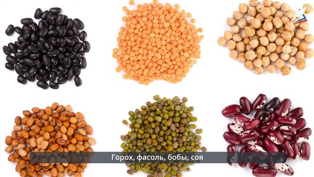 Роль овощей в питании смотреть онлайн