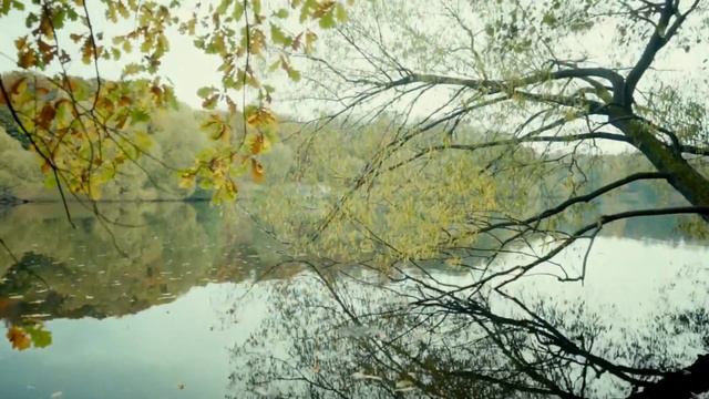 Лечение от сглаза, порчи и колдовства. Суры Корана. Махамут Шарафутдин / Quran Kareem