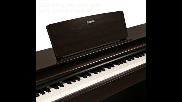 Đàn piano điện Yamaha YDP-103 giá bán bao nhiêu tiền? Mua ở đâu tại TPHCM смотреть онлайн