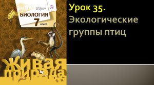 Урок 35. Экологические группы птиц