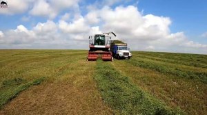 Лучшая самоходная косилка KSU 1 Ростсельмаш на заготовке сенажа