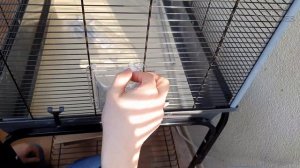 Обустраиваем вольер для волнистых попугаев Ферпласт Планета. Кормушки. Жердочки