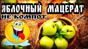Правильный Яблочный мацерат . Яблочный нектар .