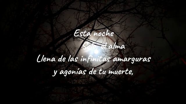 NOCTURNO III, autor JOSE ASUNCIÓN SILVA, el poema mas bello de la literatura colombiana смотреть онлайн
