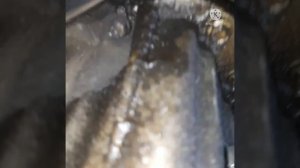 проверка и долив масла в акпп шевроле кобальт.  замена масла в двс шевроле кобальт 2013 года.