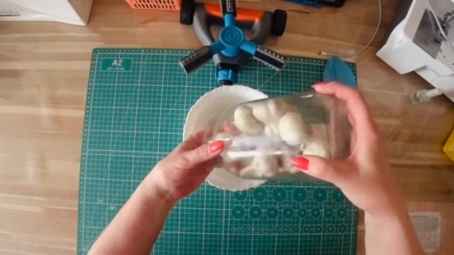 Обзор покупок для огорода с WB/посадочный материал /лук/Крымский чеснок#огород #лук #садоводство смотреть онлайн