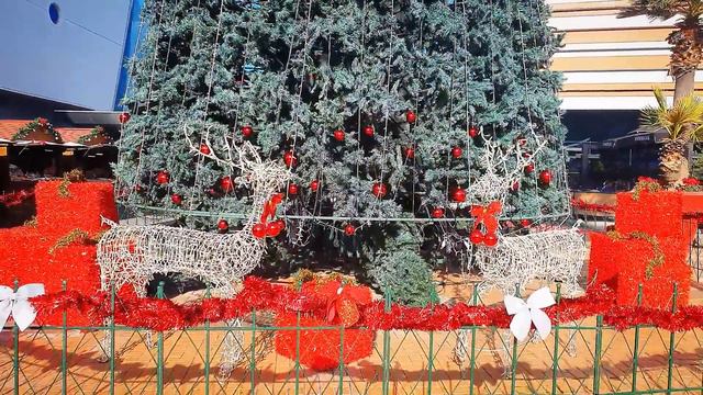 Зехра УГОЩАЕТ тортом✅️ больше НЕ БУДЕТ ХОДИТЬ в сад ✅️ танцуем в ТОРГОВОМ центре ✅️ как я похудела