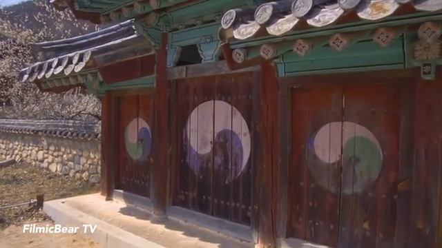 ? 【4K】 Korea, Seongju, The Spring Of Hoeyeon Seowon (Корея, Сонджу,韓國,星州)/ 성주 회연서원 꽃구경