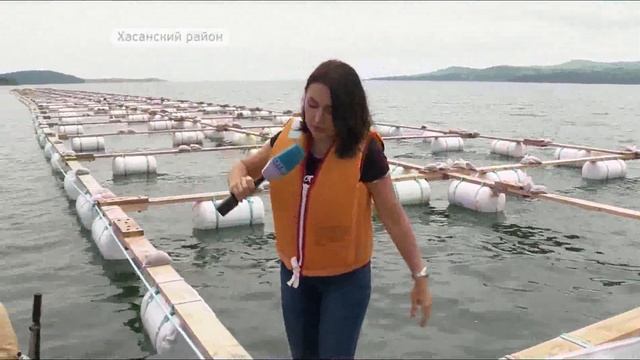 Пять миллионов мальков трепанга впервые вырастят в Приморье смотреть онлайн