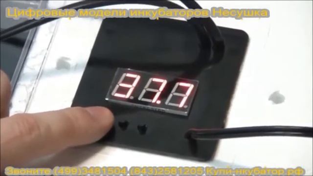 Настройка терморегулятора в инкубаторе Несушка