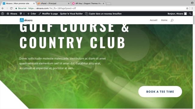 Créer un site web avec WordPress sans coder - Tutoriel débutant (2021) смотреть онлайн