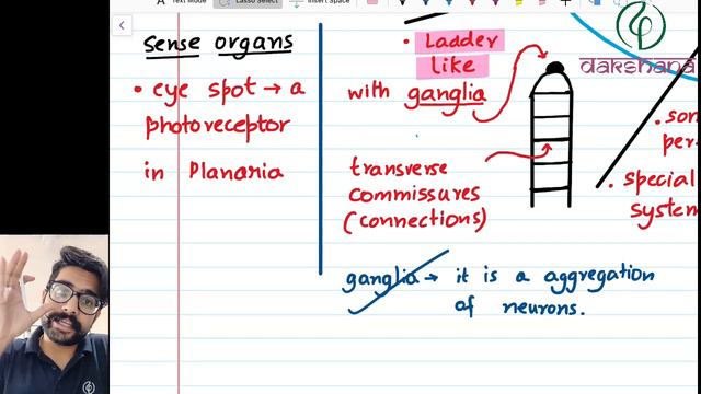 NEET | Biology | Animal Kingdom | L 04 | Paras Verma смотреть онлайн