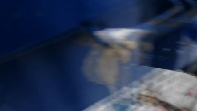 Шарюсь в помойках опять смотреть онлайн