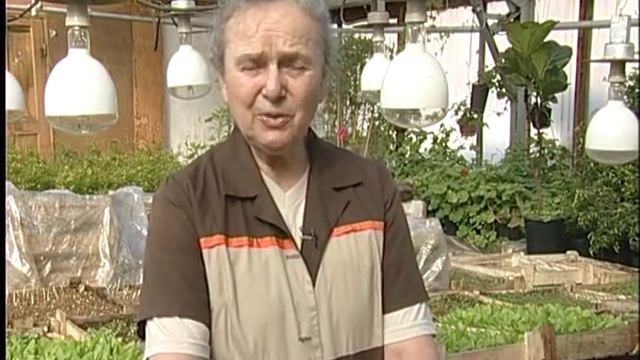 Садовник рекомендует №2