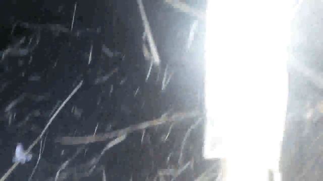 тест Джокер, Терра, Маска4Про, Сигнум, Терм смотреть онлайн